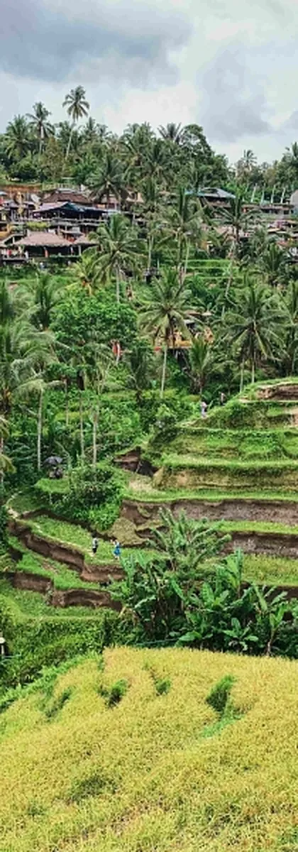 Bali Lifestyle 1